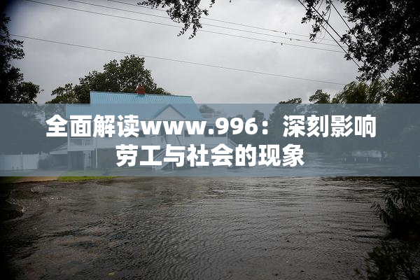 全面解读www.996：深刻影响劳工与社会的现象