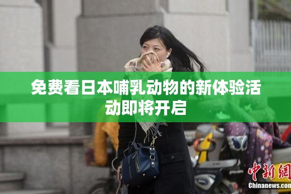 免费看日本哺乳动物的新体验活动即将开启