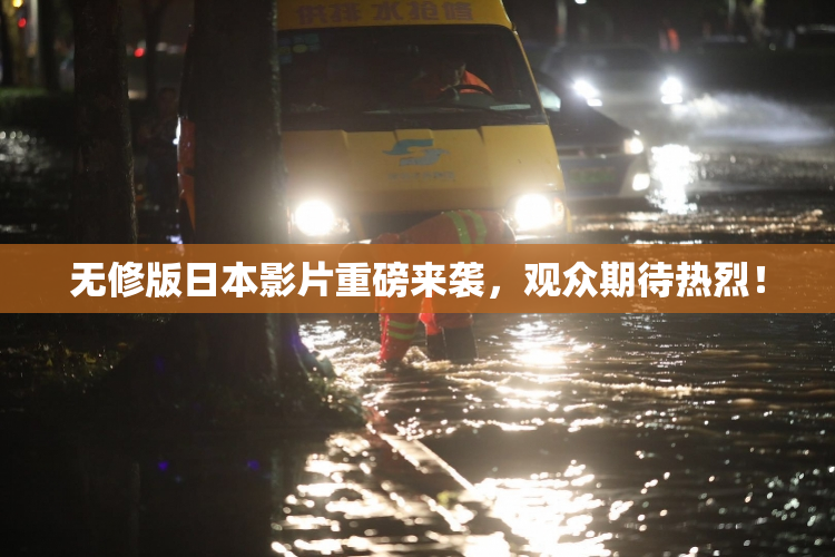 无修版日本影片重磅来袭，观众期待热烈！