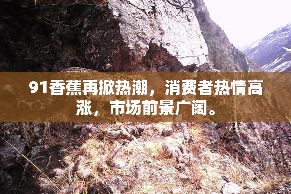 91香蕉再掀热潮，消费者热情高涨，市场前景广阔。