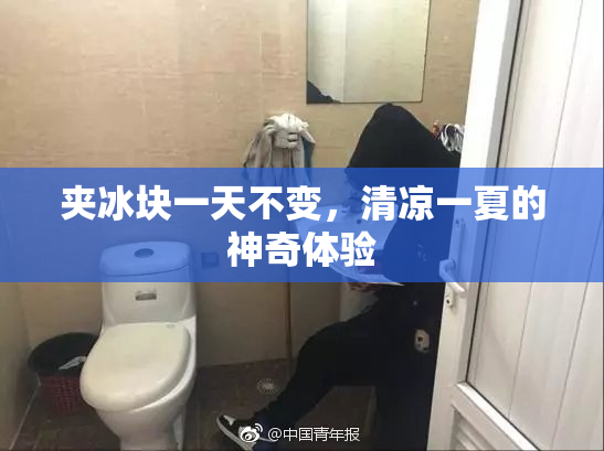 夹冰块一天不变，清凉一夏的神奇体验