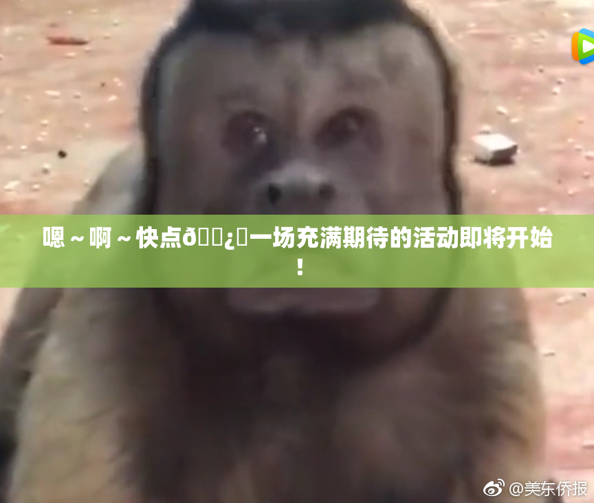 嗯～啊～快点🌿‌一场充满期待的活动即将开始！