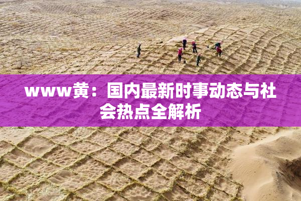 www黄：国内最新时事动态与社会热点全解析