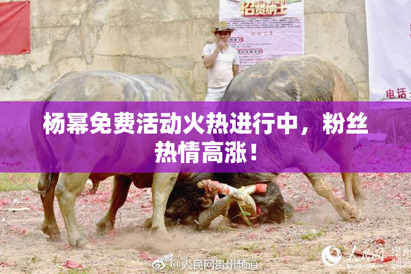 杨幂免费活动火热进行中，粉丝热情高涨！