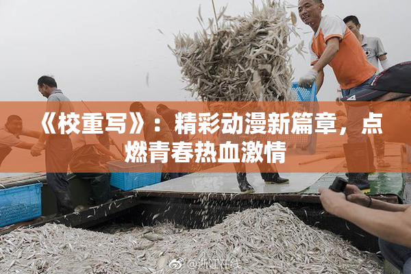 《校重写》：精彩动漫新篇章，点燃青春热血激情