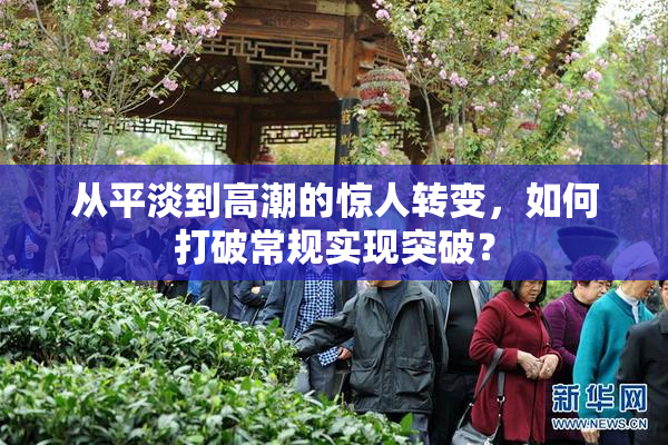 从平淡到高潮的惊人转变，如何打破常规实现突破？