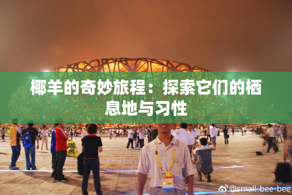 椰羊的奇妙旅程：探索它们的栖息地与习性
