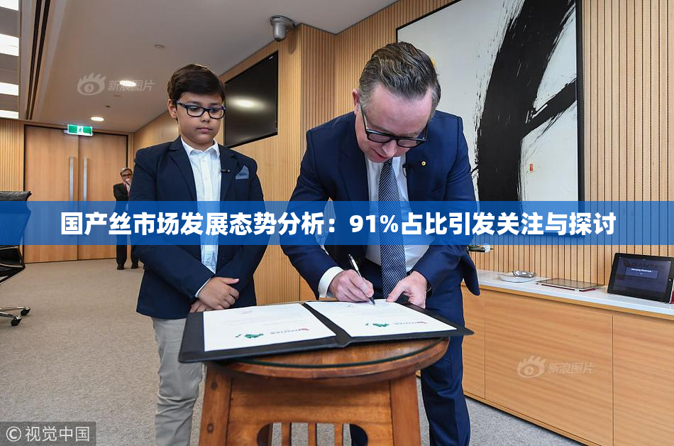 国产丝市场发展态势分析：91%占比引发关注与探讨