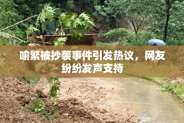 喻繁被抄袭事件引发热议，网友纷纷发声支持