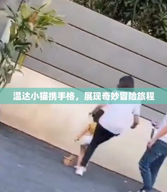 温达小猫携手格，展现奇妙冒险旅程