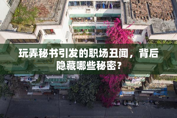 玩弄秘书引发的职场丑闻，背后隐藏哪些秘密？