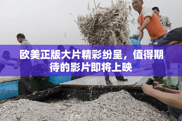 欧美正版大片精彩纷呈，值得期待的影片即将上映