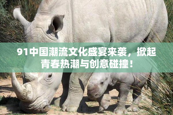 91中国潮流文化盛宴来袭，掀起青春热潮与创意碰撞！