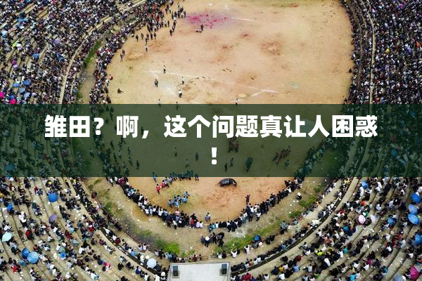 雏田？啊，这个问题真让人困惑！