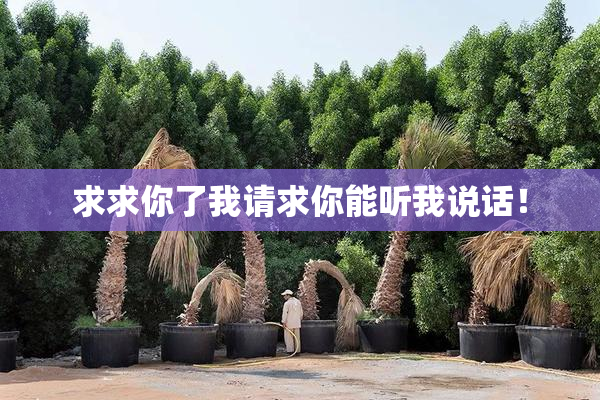 求求你了我请求你能听我说话！