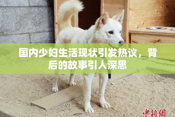 国内少妇生活现状引发热议，背后的故事引人深思