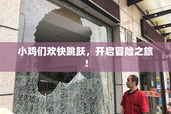 小鸡们欢快跳跃，开启冒险之旅！