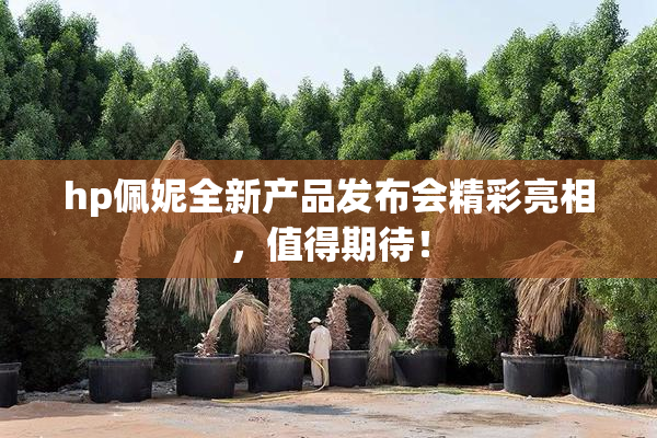 hp佩妮全新产品发布会精彩亮相，值得期待！