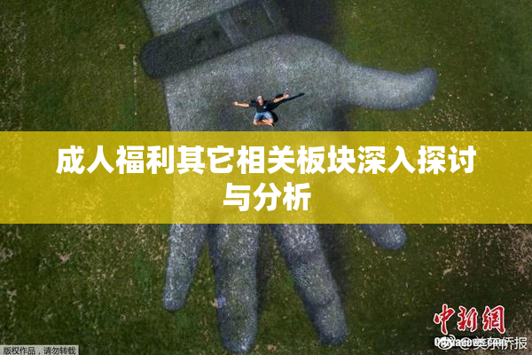 成人福利其它相关板块深入探讨与分析