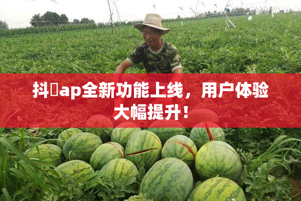 抖抈ap全新功能上线，用户体验大幅提升！