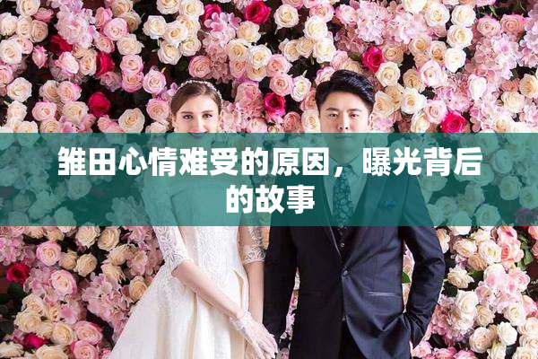 雏田心情难受的原因，曝光背后的故事