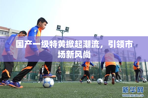 国产一级特黄掀起潮流，引领市场新风尚