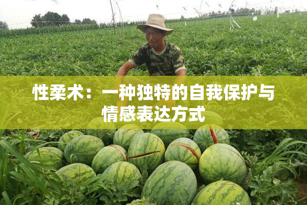 性柔术：一种独特的自我保护与情感表达方式