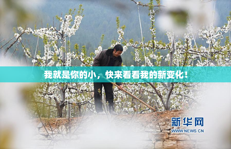 我就是你的小，快来看看我的新变化！