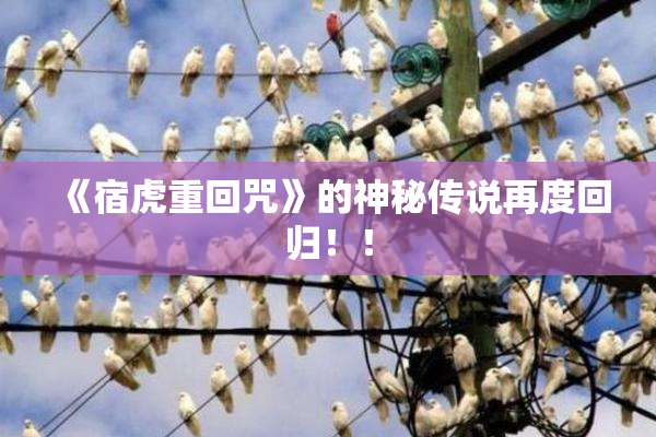 《宿虎重回咒》的神秘传说再度回归！！