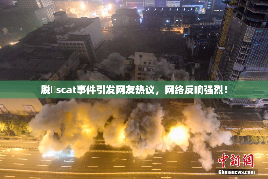 脱糞scat事件引发网友热议，网络反响强烈！