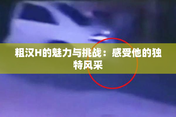 粗汉H的魅力与挑战：感受他的独特风采