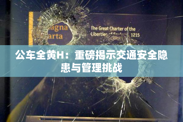 公车全黄H：重磅揭示交通安全隐患与管理挑战