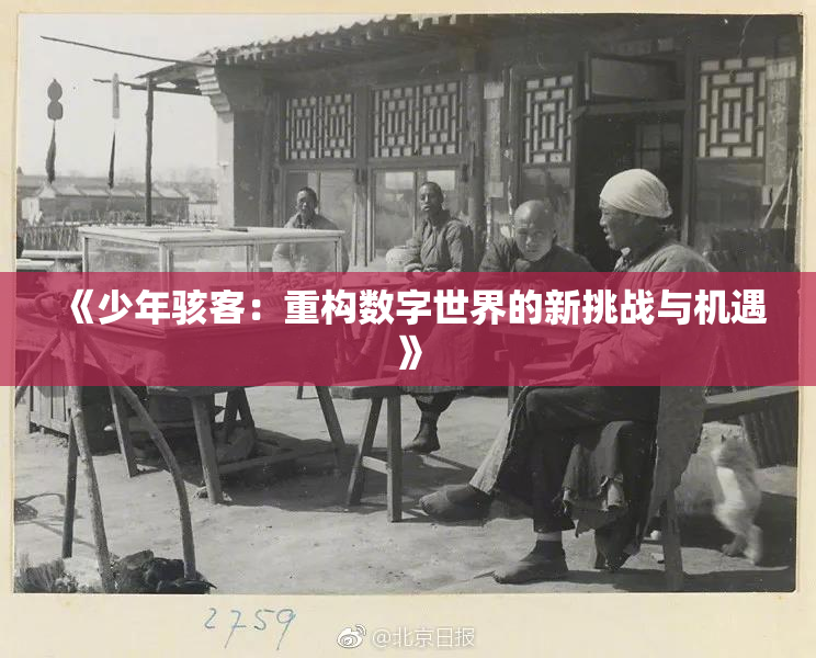 《少年骇客：重构数字世界的新挑战与机遇》