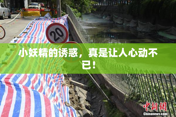 小妖精的诱惑，真是让人心动不已！