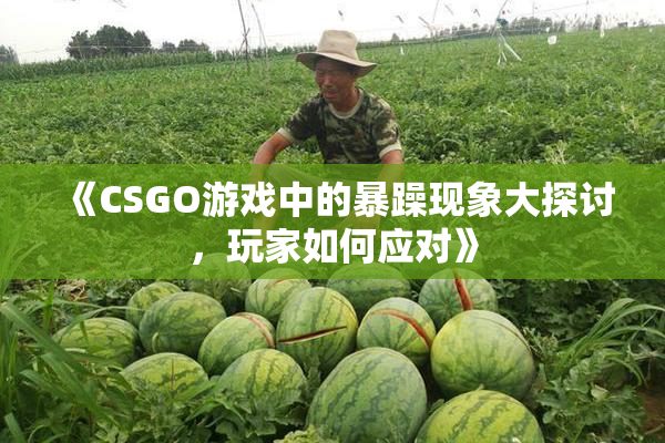 《CSGO游戏中的暴躁现象大探讨，玩家如何应对》
