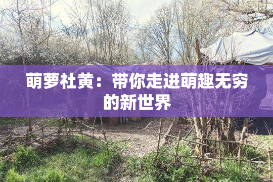 萌萝社黄：带你走进萌趣无穷的新世界