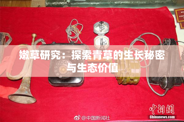 嫩草研究：探索青草的生长秘密与生态价值