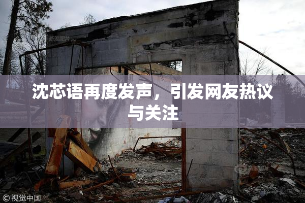 沈芯语再度发声，引发网友热议与关注