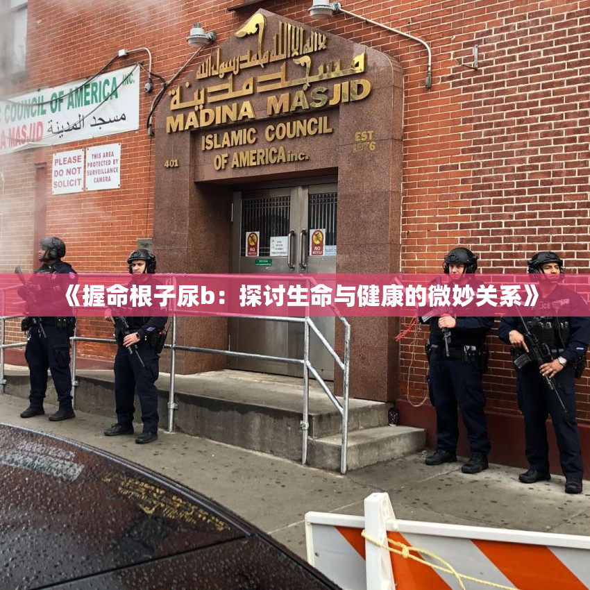 《握命根子尿b：探讨生命与健康的微妙关系》
