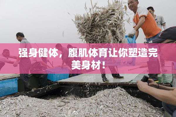 强身健体，腹肌体育让你塑造完美身材！