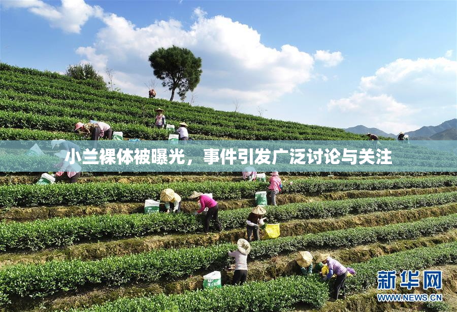 小兰裸体被曝光，事件引发广泛讨论与关注