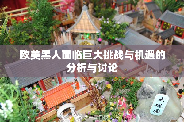 欧美黑人面临巨大挑战与机遇的分析与讨论