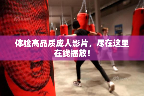 体验高品质成人影片，尽在这里在线播放！