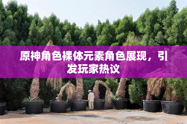 原神角色裸体元素角色展现，引发玩家热议