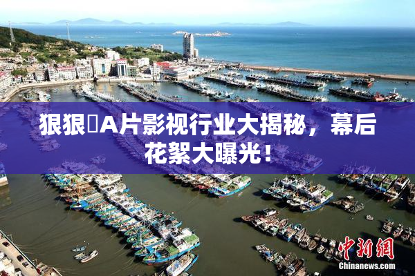狠狠穞A片影视行业大揭秘，幕后花絮大曝光！