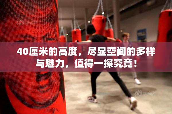 40厘米的高度，尽显空间的多样与魅力，值得一探究竟！