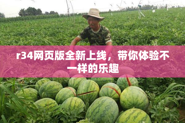 r34网页版全新上线，带你体验不一样的乐趣