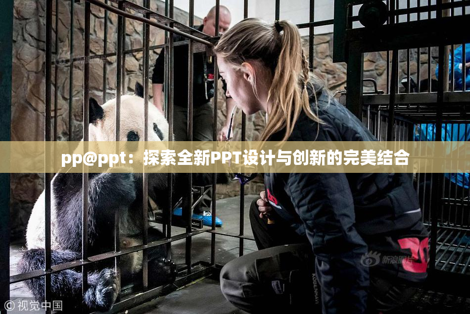 pp@ppt：探索全新PPT设计与创新的完美结合