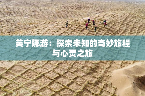 芙宁娜游：探索未知的奇妙旅程与心灵之旅