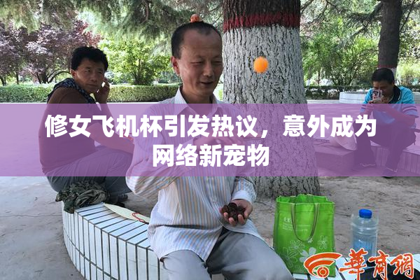 修女飞机杯引发热议，意外成为网络新宠物